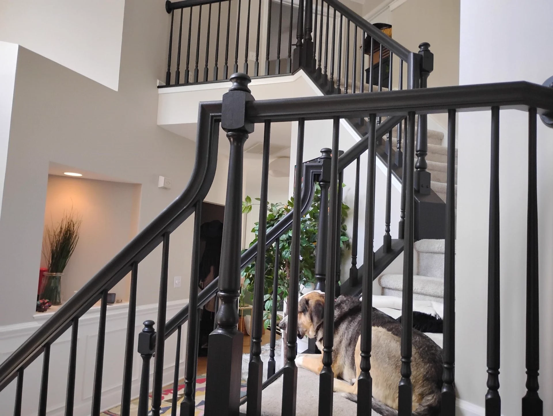 Professional interior painting project in North Charlotte- Hickory by That 1 Painter