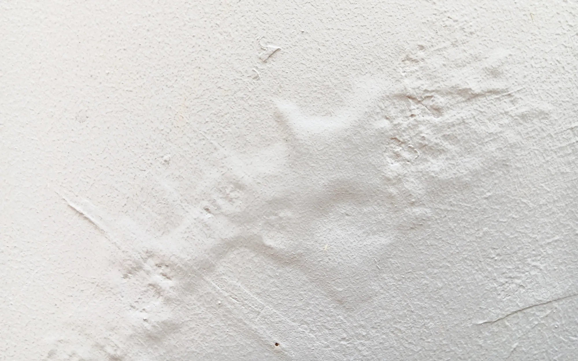 Bubbling and blistered paint on an interior wall before repair