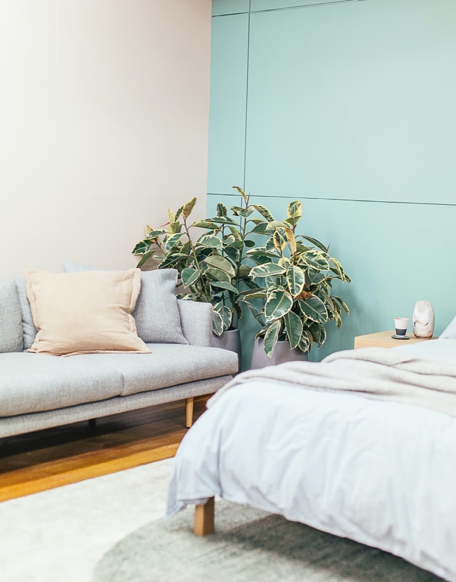 Zero VOC paint + Air Sanitizing Technology for Health & Safety